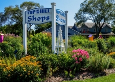 garden and shops in far background