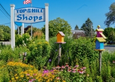 toth sign birdhouse and flowers